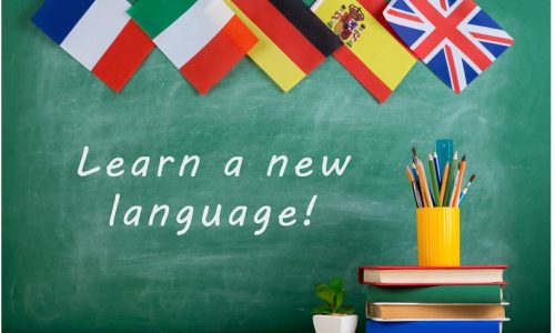 Learning Language While Travelling